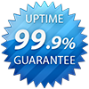 99.9% server uptime